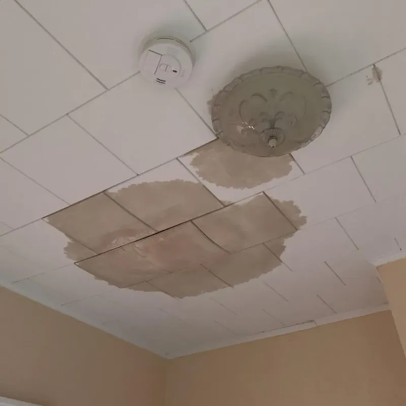 Ceiling Water Damage Repair in Woodway, TX